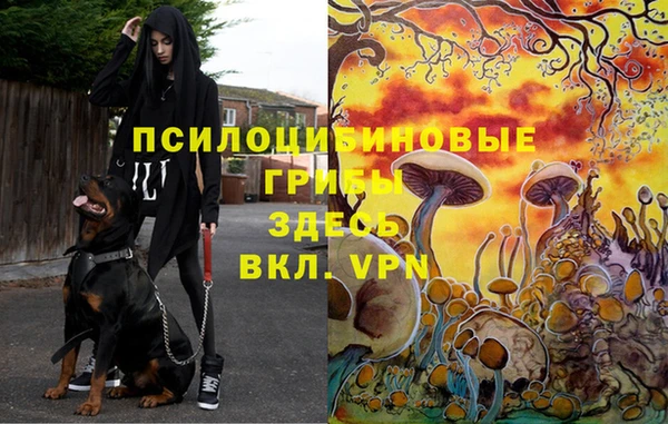 прущие крисы Алексин