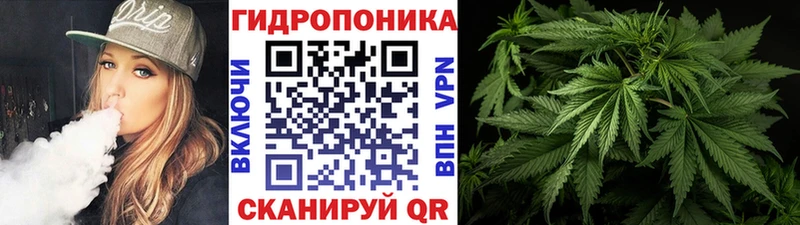 Канабис MAZAR  Алексин 
